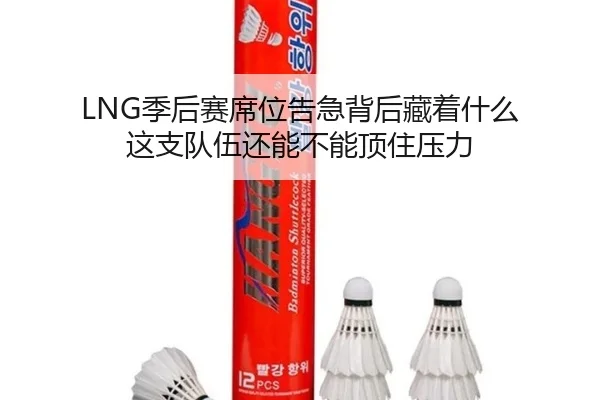 LNG季后赛席位告急背后藏着什么 这支队伍还能不能顶住压力