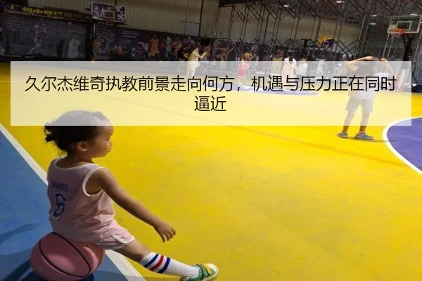 img_1783318184387_110_1_865.jpg